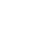 level-ico