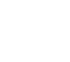prompt-ico