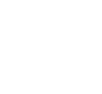 Content SEO & Blogging
